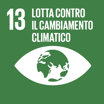 esg obiettivo n.13
