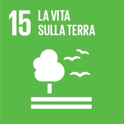 esg obiettivo n.15